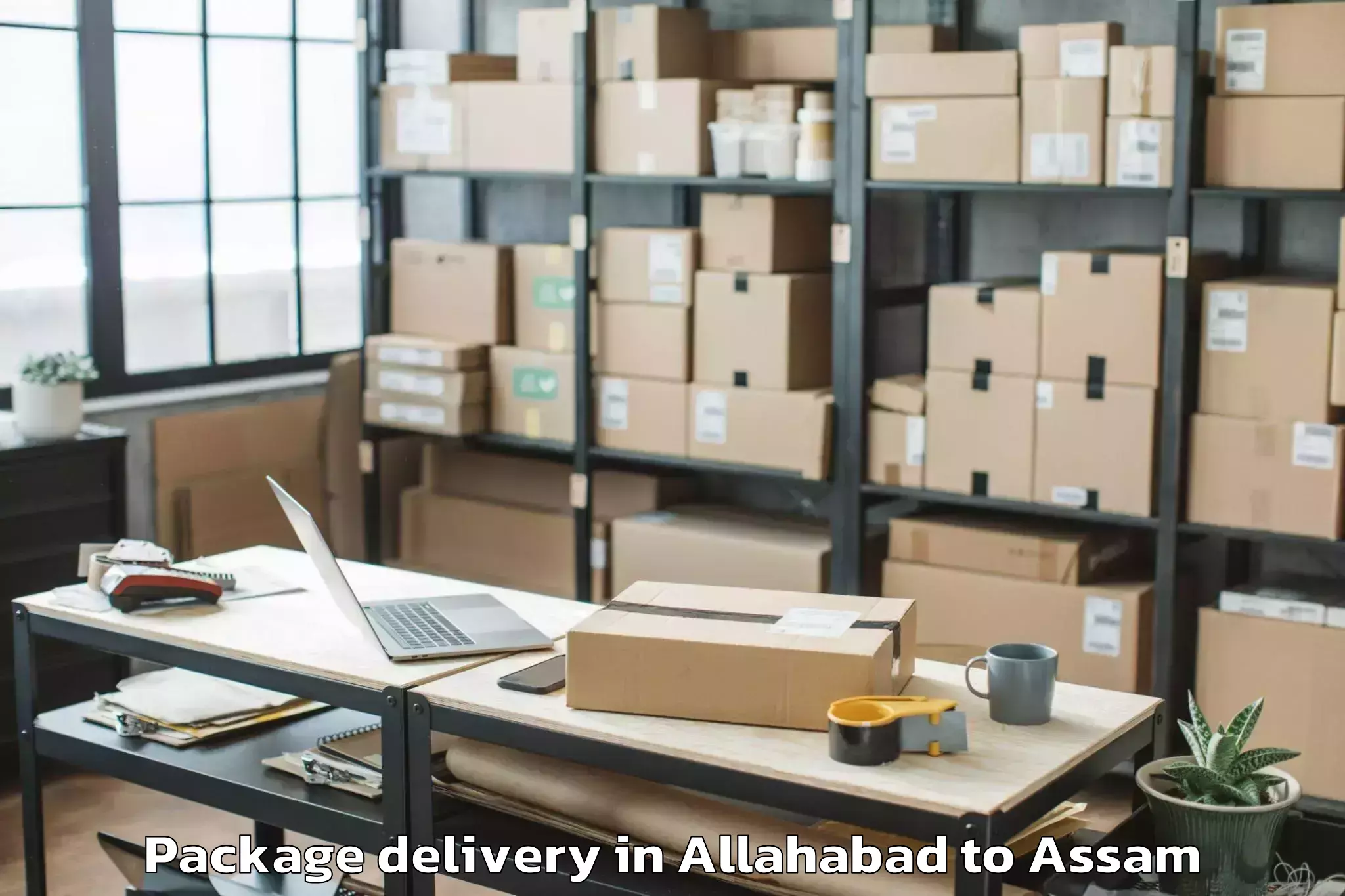 Trusted Allahabad to Dudhnai Package Delivery